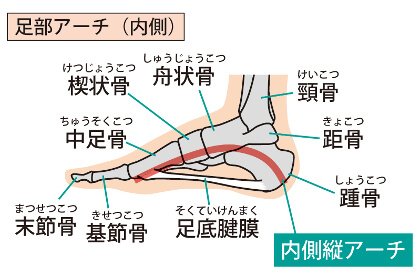 偏平足