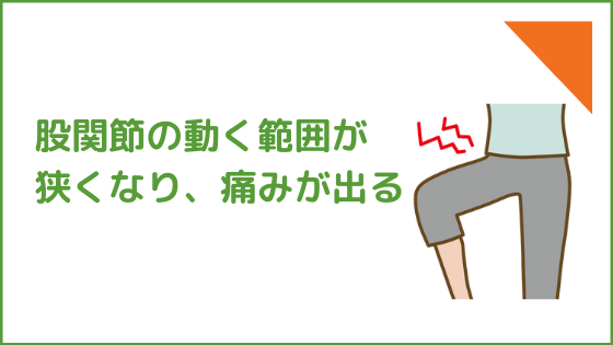 股関節の可動域の制限と疼痛