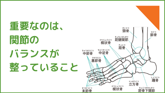 重要なのは関節のバランスが整っていること