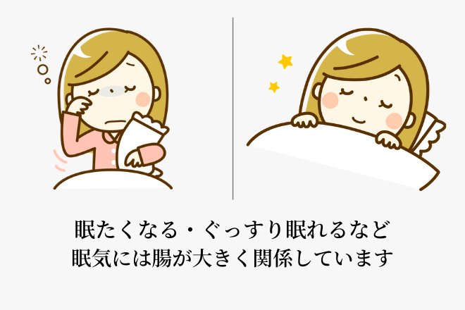 眠たくなる・ぐっすり眠れるなど眠気には腸が大きく関係しています