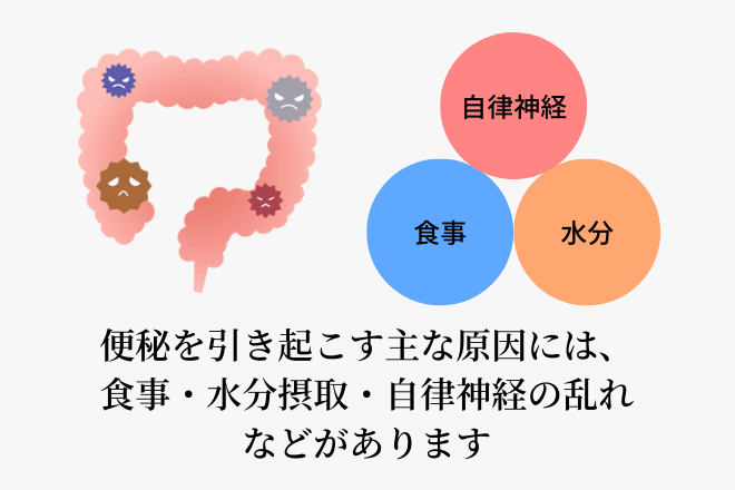 便秘を引き起こす主な原因には、食事・水分摂取・自律神経の乱れなどがあります