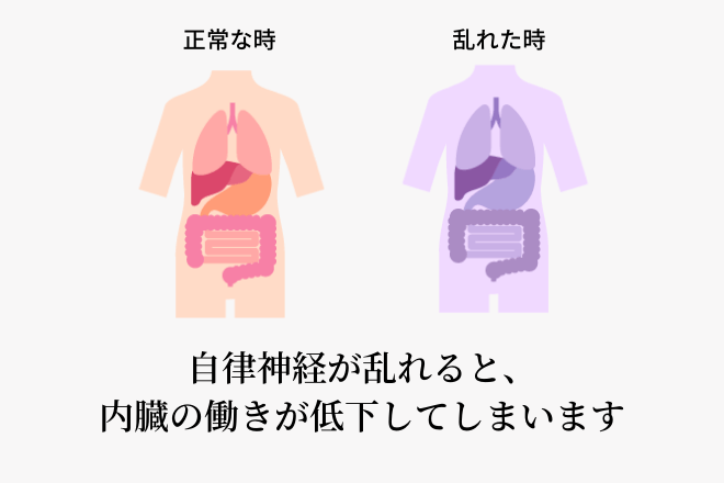 自律神経が乱れると、内臓の働きが低下してしまいます