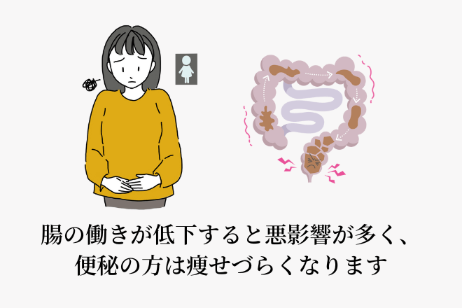 腸の働きが低下すると悪影響が多く、便秘の方は痩せづらくなります