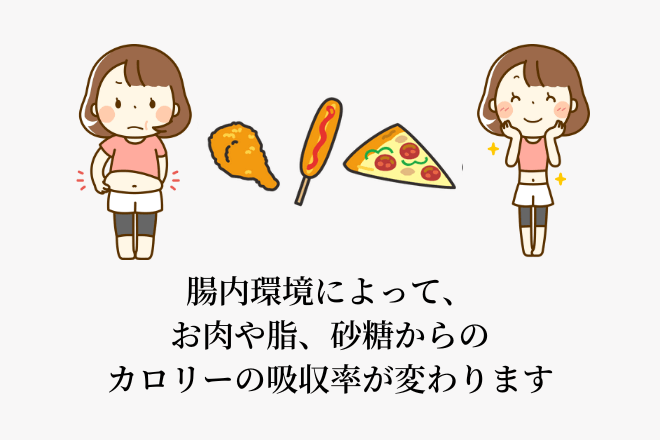 便秘を引き起こす主な原因には、食事・水分摂取・自律神経の乱れなどがあります