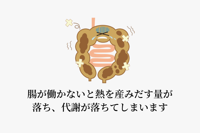 腸が働かないと熱を産みだす量が落ち、代謝が落ちてしまいます