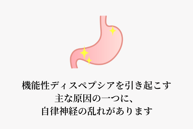 機能性ディスペプシアを引き起こす主な原因の一つに、自律神経の乱れがあります