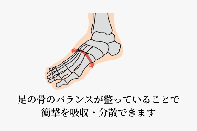 足の骨のバランスが整っていることで衝撃を吸収・分散できます