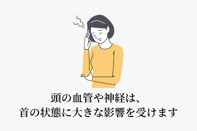 頭の血管や神経は、首の状態に大きな影響を受けます