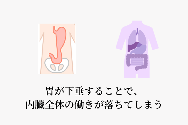 胃下垂の人が体調不良に悩まされやすい理由とは 大阪の整体 創輝鍼灸整骨院