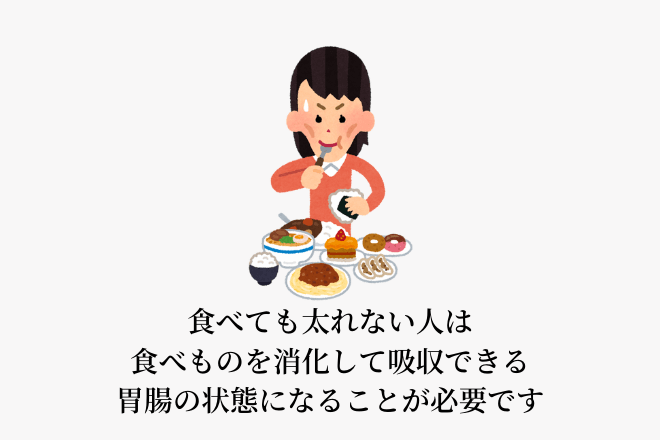 食べても太れない人は食べものを消化して吸収できる胃腸の状態になることが必要です