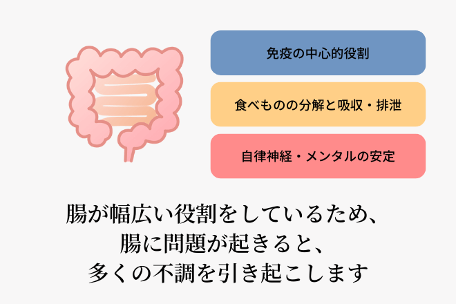 腸が幅広い役割をしているため、腸に問題が起きると、多くの不調を引き起こします