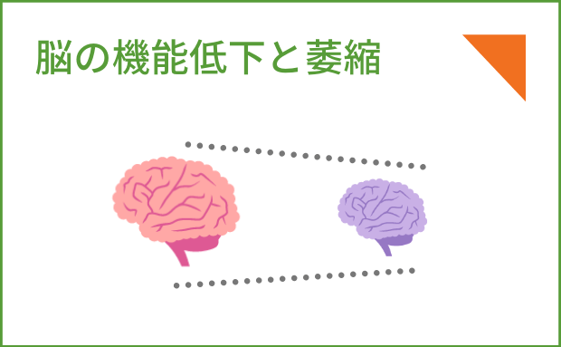 脳の機能低下と萎縮