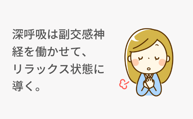 深呼吸は副交感神経を働かせて、リラックス状態に導く