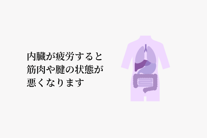 内臓が疲労すると血液やリンパの流れが悪くなり筋肉や腱の状態も悪くなる