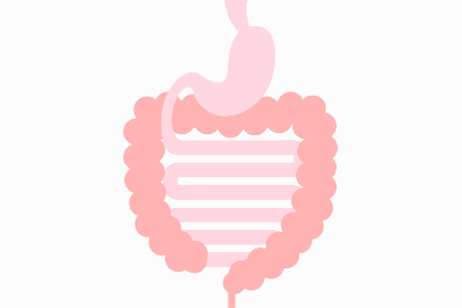 胃腸のイメージ画像
