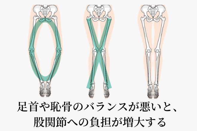 足首や恥骨と、股関節との関係性を表したイラスト
